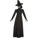 Costumes Australia Wicked Witch Costume Adult Black_1