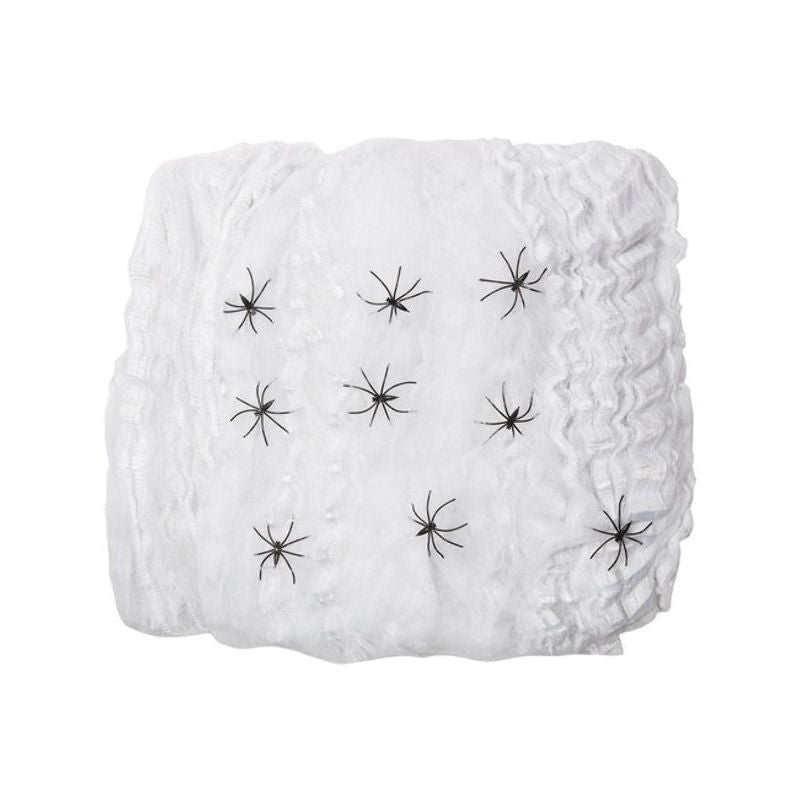 Extralarge Spider Web Decoration_1 sm-20568