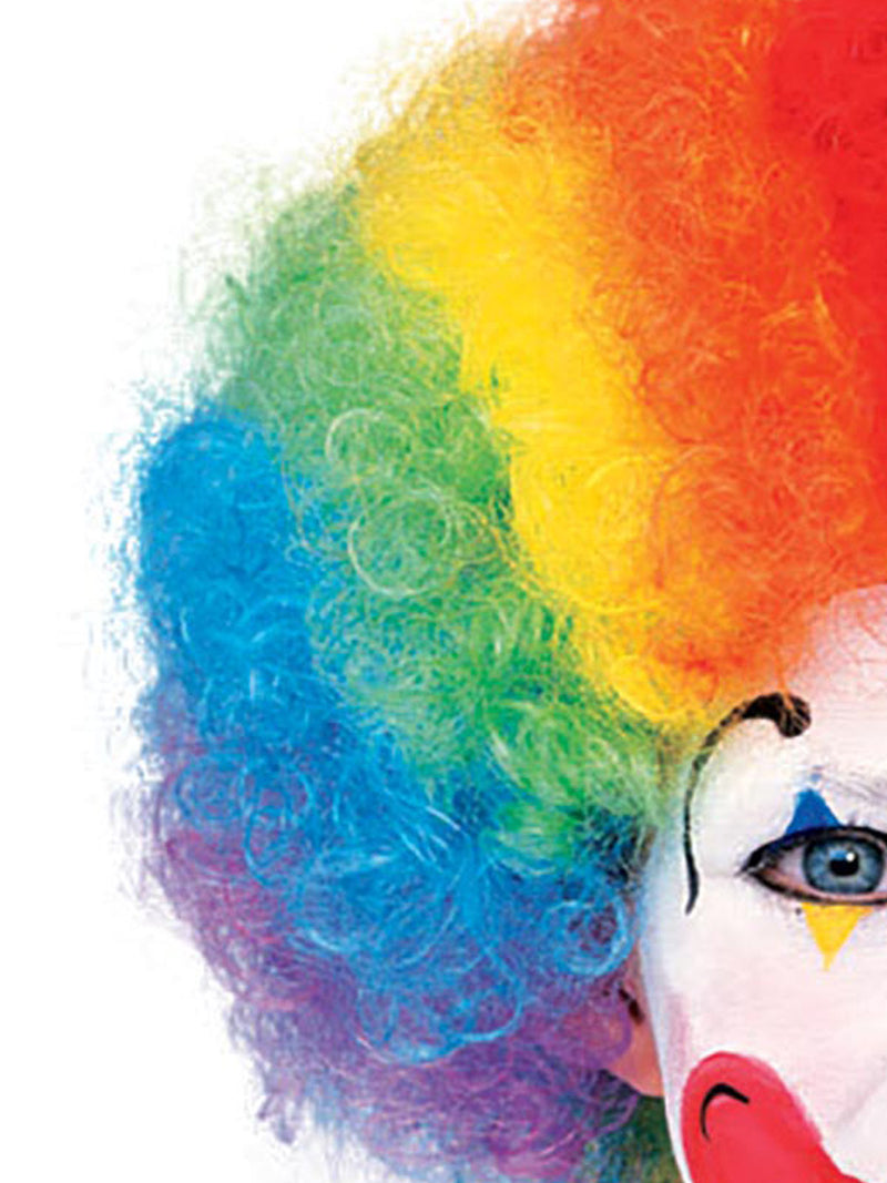Clown Multi Colour Wig Adult Unisex