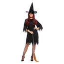Spooky Witch Costume Adult Black Dress Hat Belt