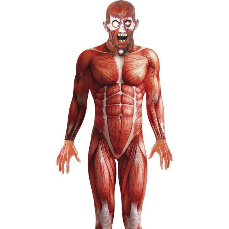 Anatomy Man Costume Adult Mens Red -1