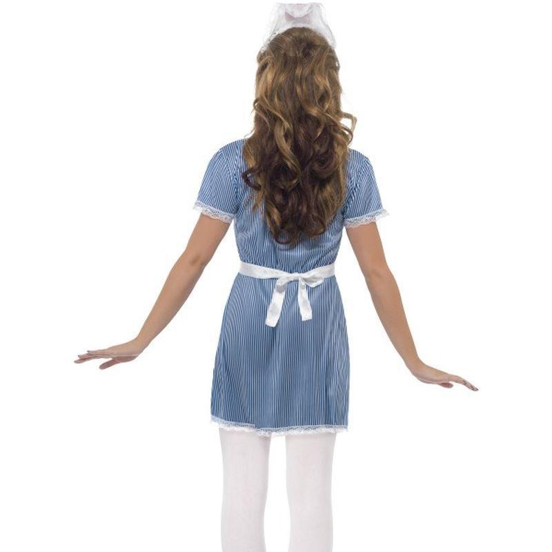 Nurse Naughty Costume Adult Blue White Womens