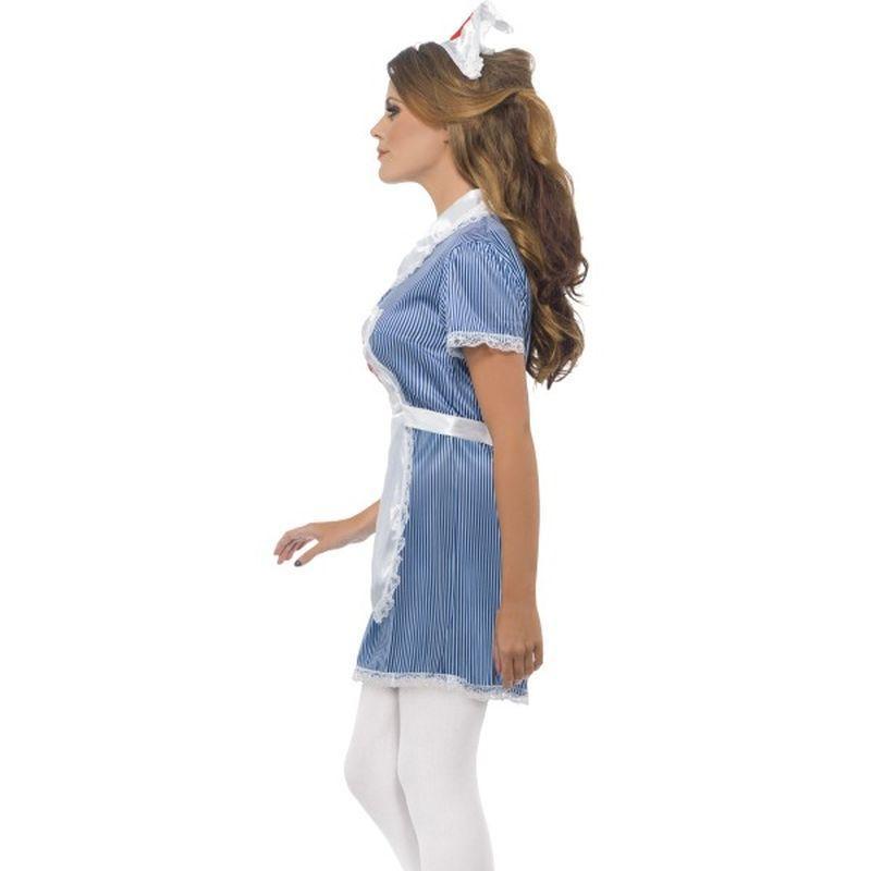 Nurse Naughty Costume Adult Blue White Womens