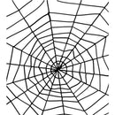 Spider & Spiders Web - One Size