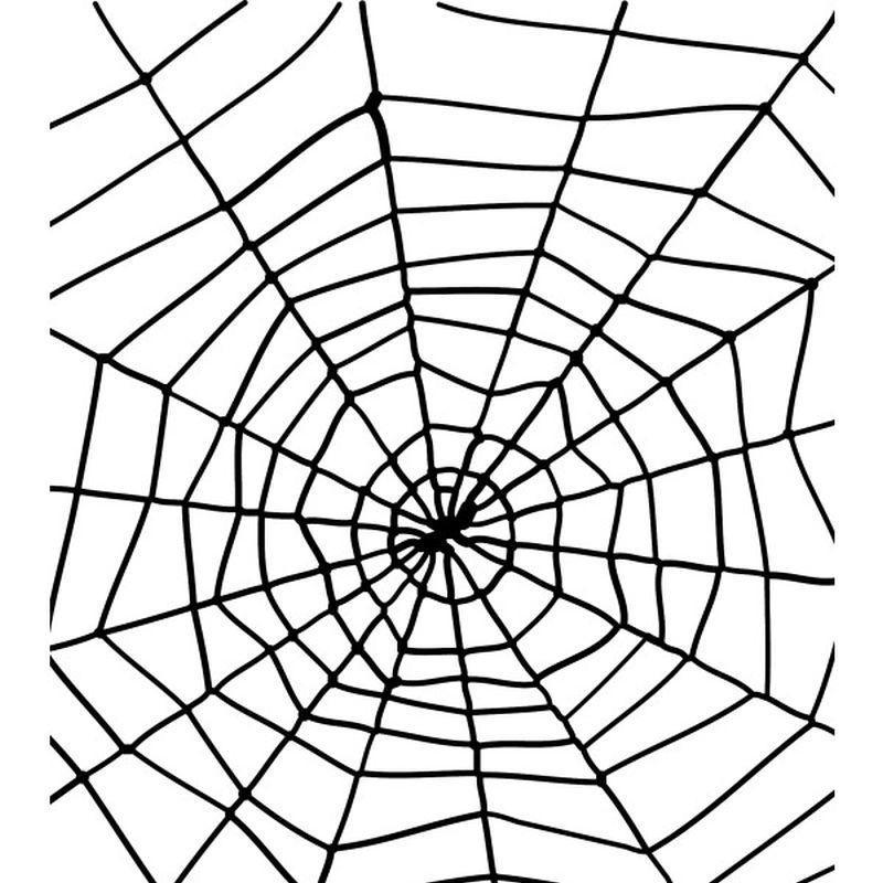 Spider & Spiders Web - One Size