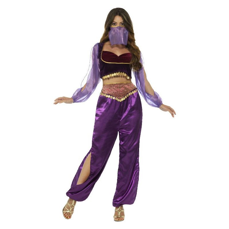 Arabian Princess Costume Adult Purple Womens -1