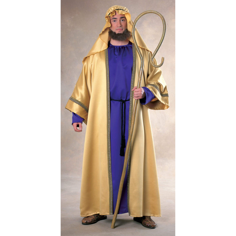 Joseph Deluxe Costume Adult Mens Gold
