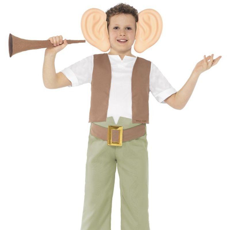 Roald Dahl BFG Costume - Tween 12+