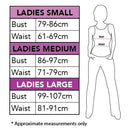 Disney Evil Queen Costume