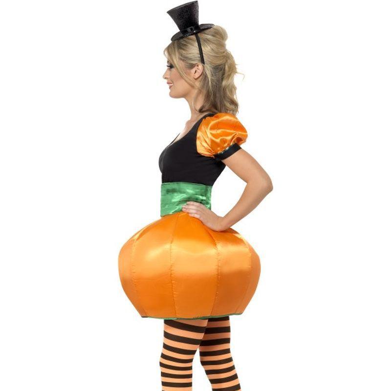 Pumpkin Costume Adult Orange Green Womens