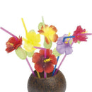Hawaiian Straws - One Size