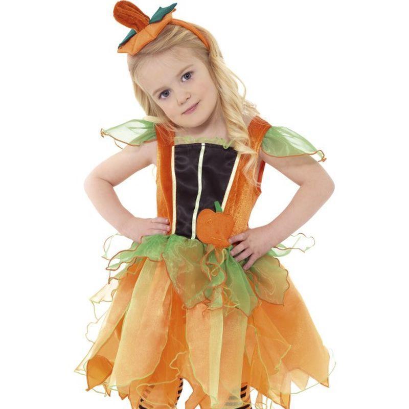 Pumpkin Fairy Costume, 3-4 Years - Toddler Age 3-4