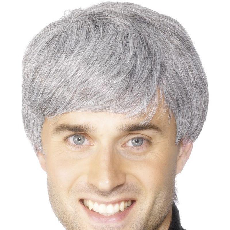Corporate Wig - One Size Mens Grey