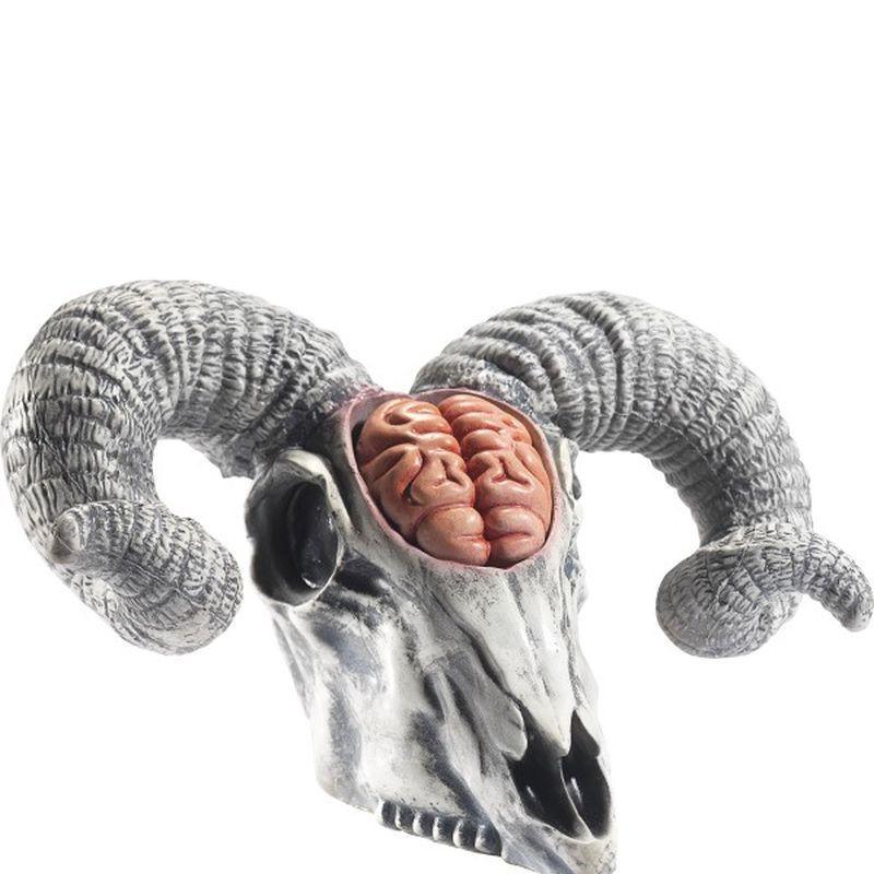 Latex Rams Skull Prop with Exposed Brain - One Size