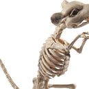 Rat Skeleton Prop - One Size