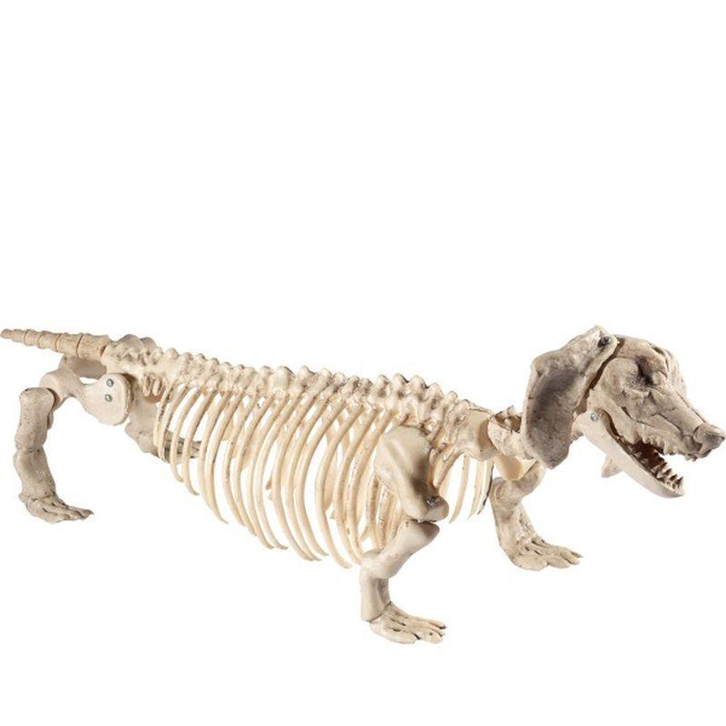 Dachshund Dog Skeleton Prop - One Size