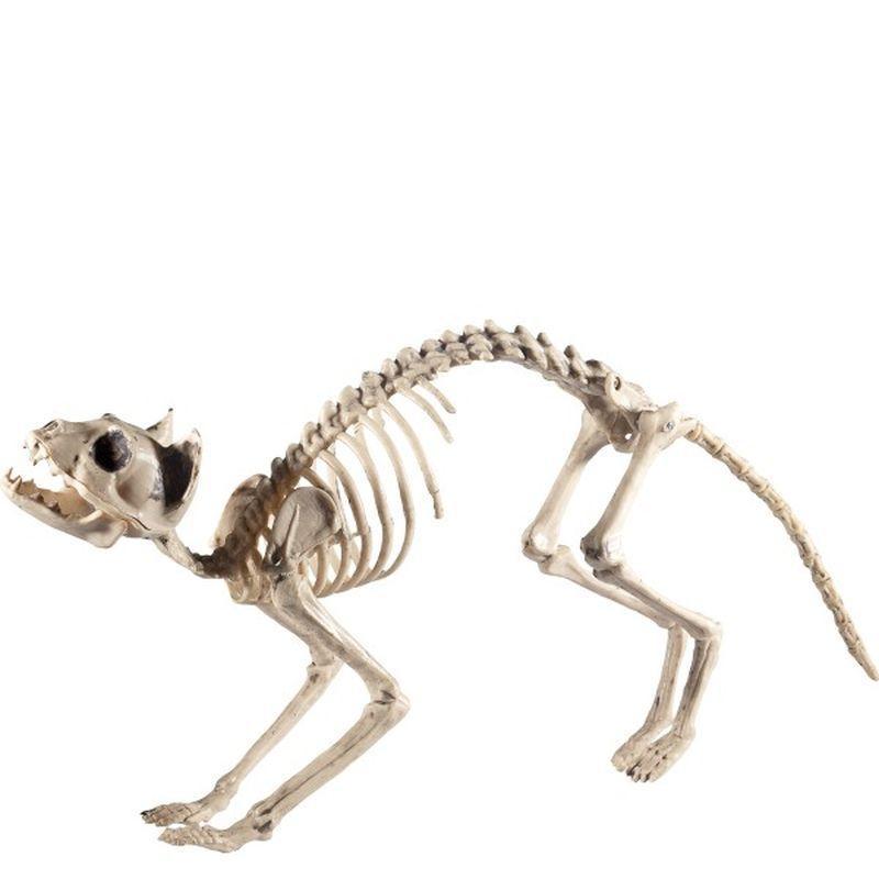 Cat Skeleton Prop Adult Natural Unisex Pink -1