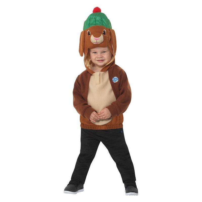 Peter Rabbit Benjamin Bunny Deluxe Costume Brown Boys