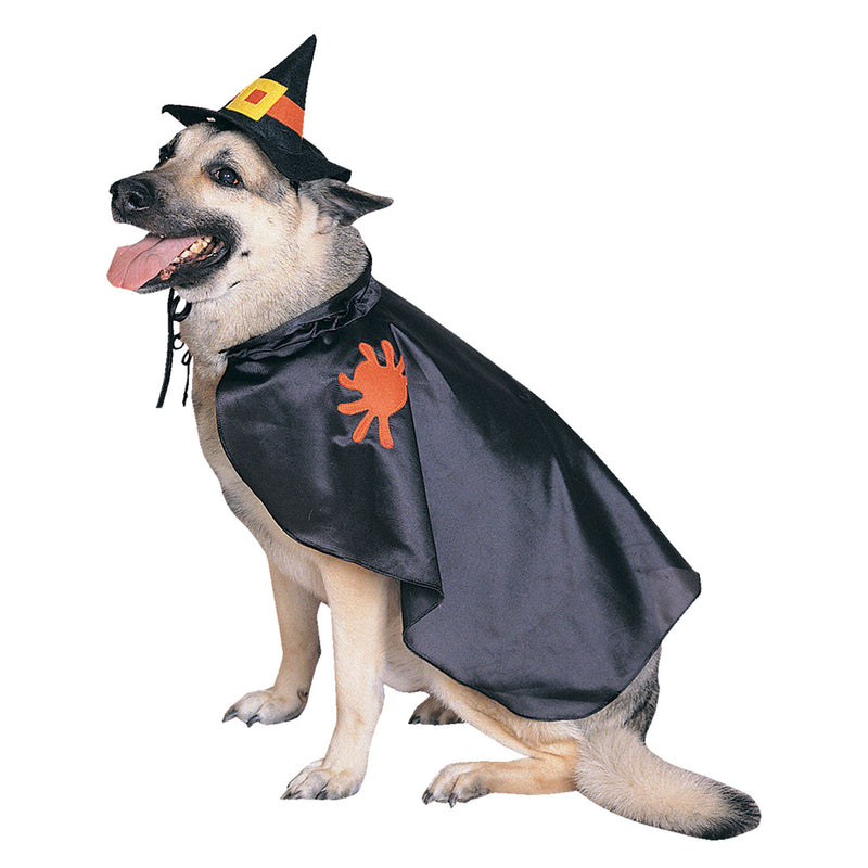 Witch Pet Costume Girls -2