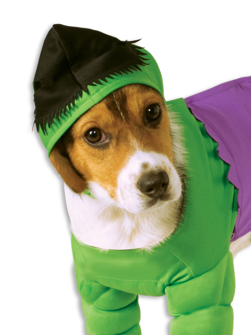 Hulk Pet Costume Dog Or Cat Green