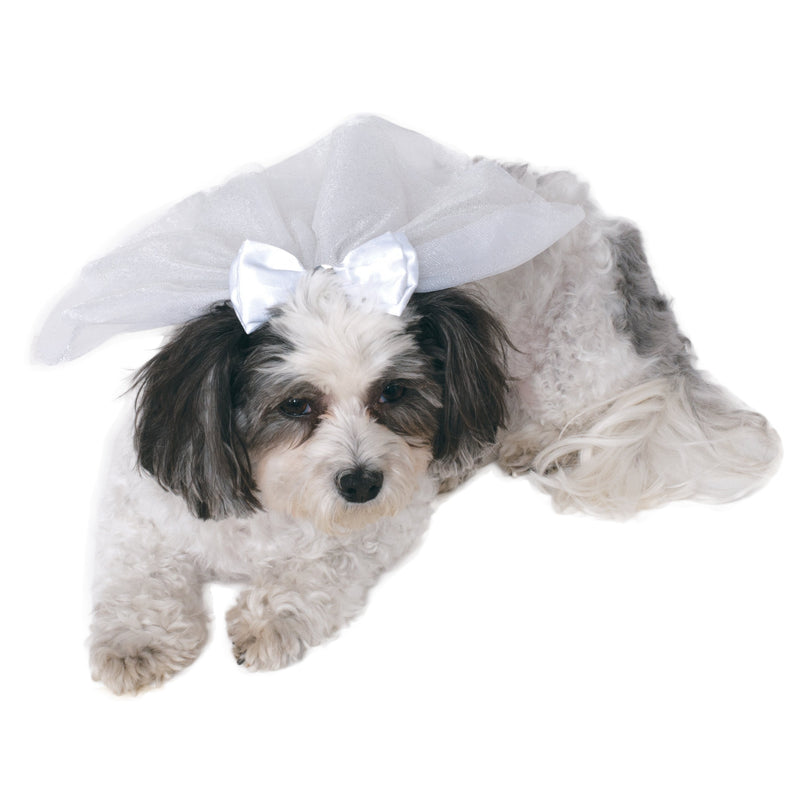 Wedding Veil Pet Dog Or Cat White