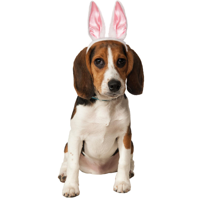 Bunny Ears Pet Accessory Dog Or Cat White