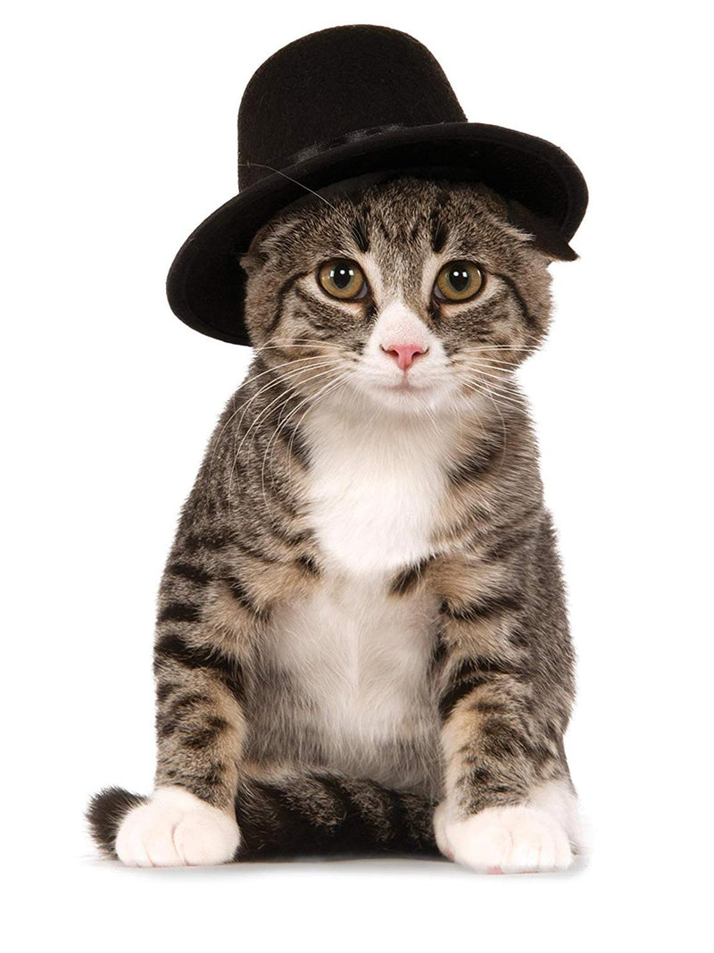 Top Hat Pet Dog Or Cat