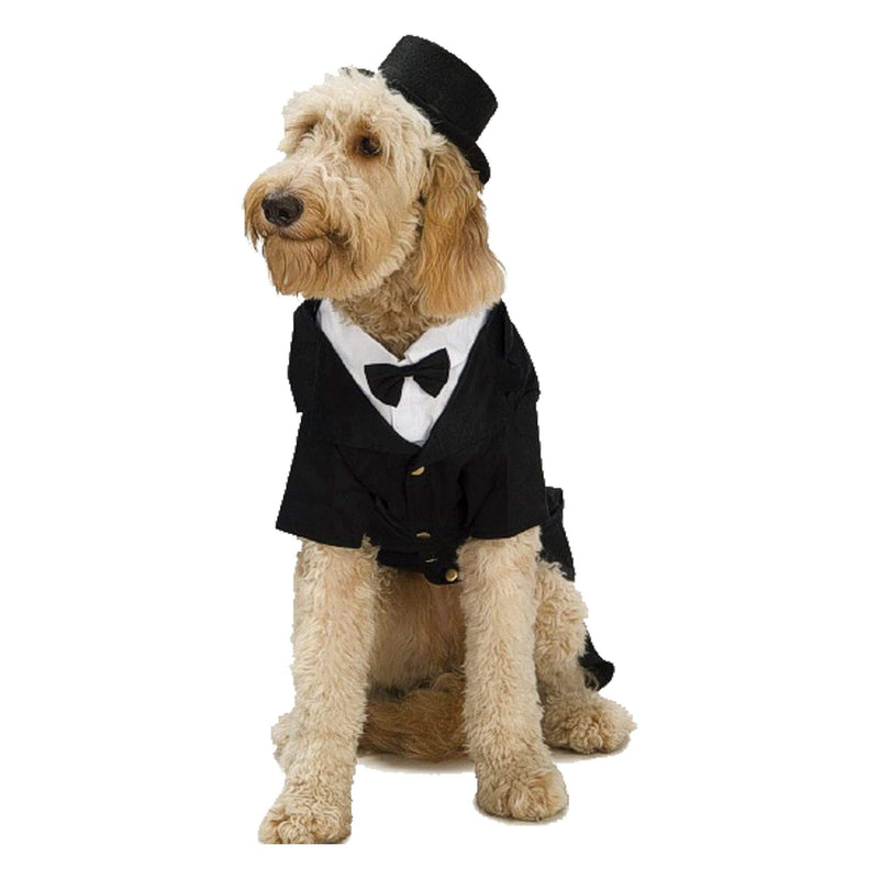 Top Hat Pet Dog Or Cat