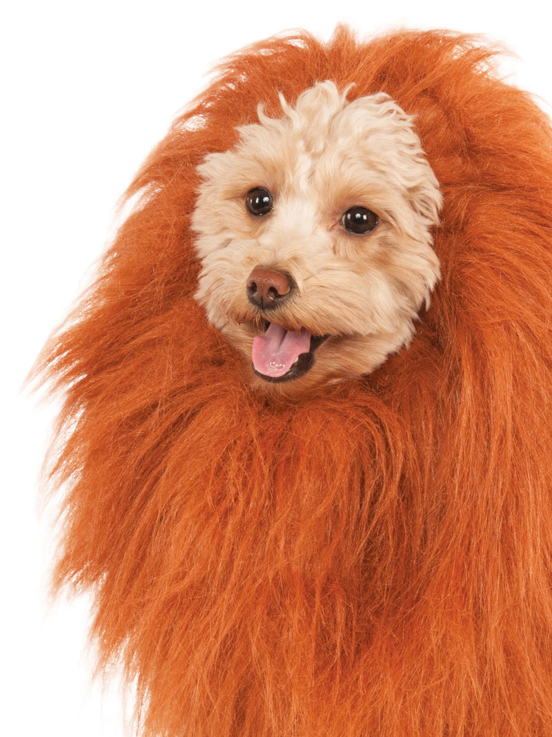 Lion's Mane Deluxe Pet Costume Dog Or Cat Brown