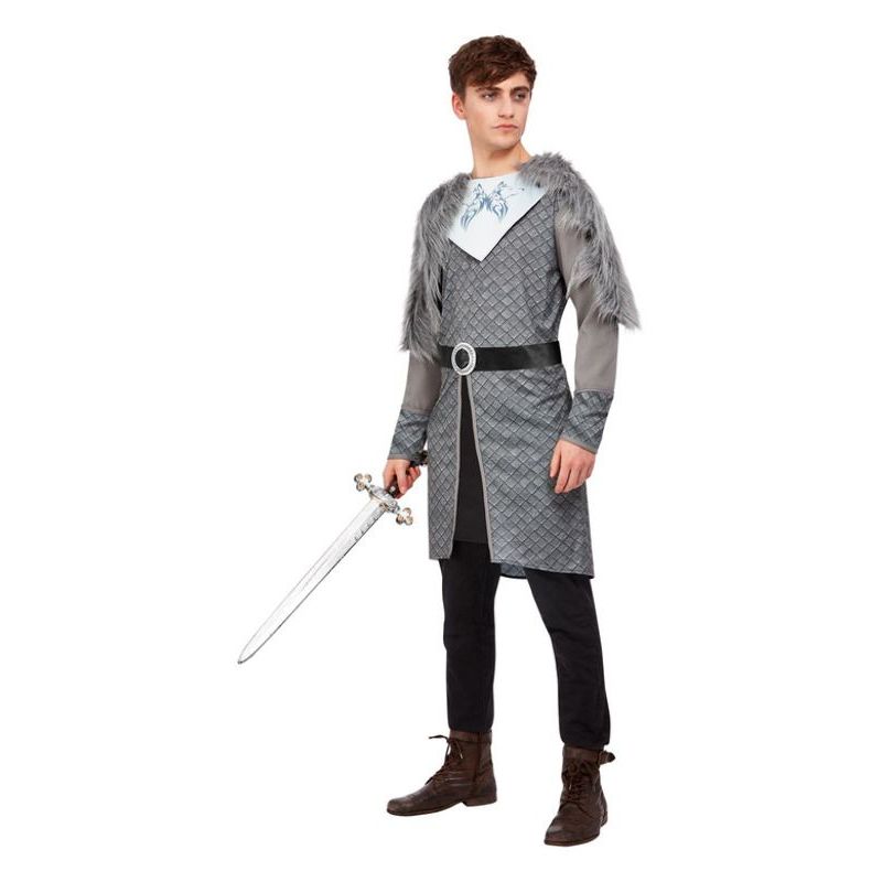 Winter Warrior King Costume Grey Mens