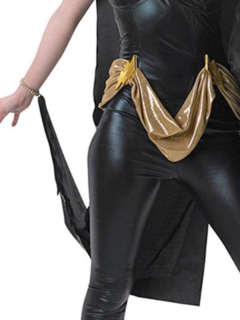 Storm X Men Secret Wishes Costume Adult Womens