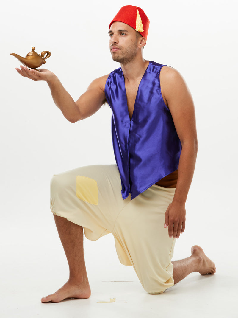 Aladdin Deluxe Costume Mens Purple