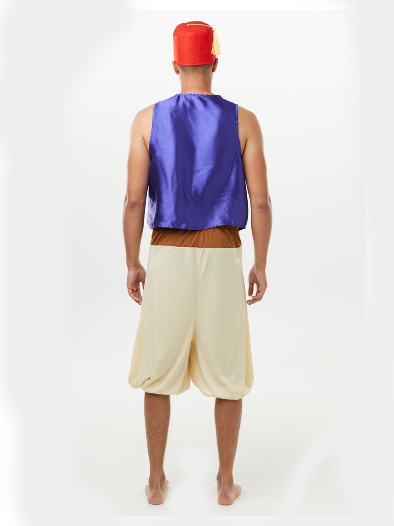 Aladdin Deluxe Costume Mens Purple