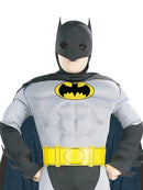 The Batman Eva Muscle Chest Deluxe Boys Grey -2