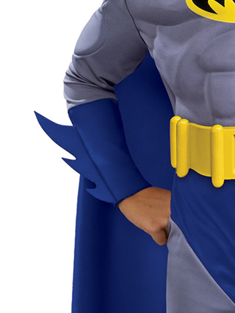 Batman Brave And Bold Deluxe Costume Boys Blue -3