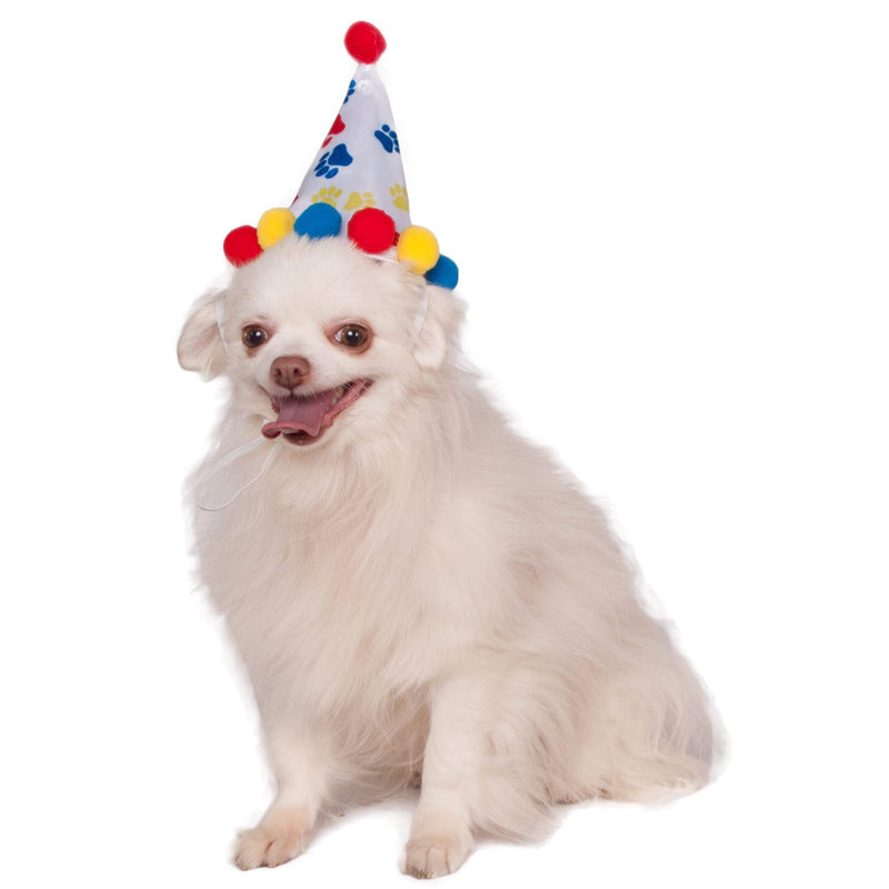 Paw Print Boy Pet Birthday Hat Accessory Dog Or Cat White