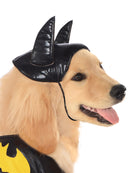 Batgirl Pet Costume Unisex -2