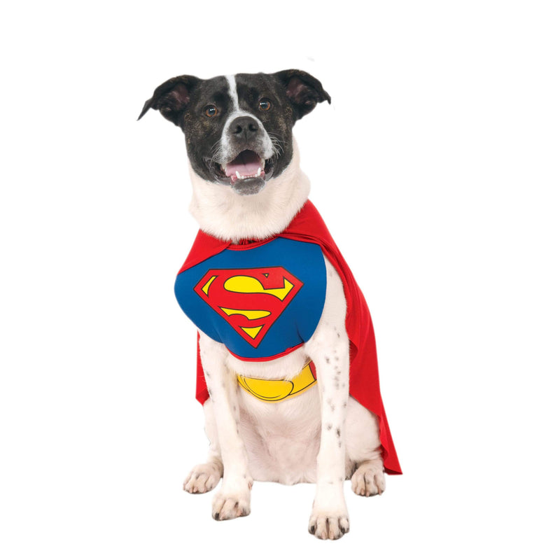Superman Classic Pet Costume Unisex Red -5