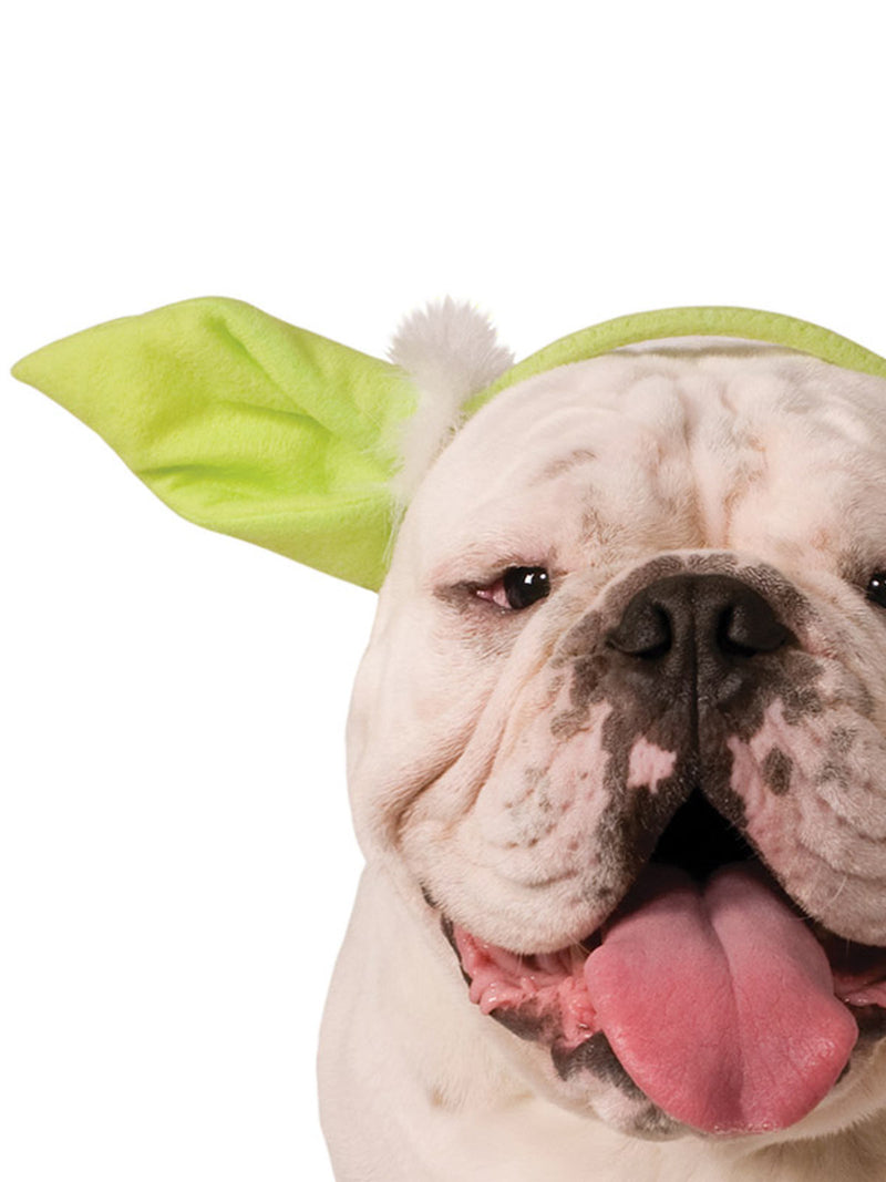 Yoda Pet Headband Dog Or Cat Green