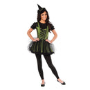 Wicked Witch Of The West Costume Womens -1